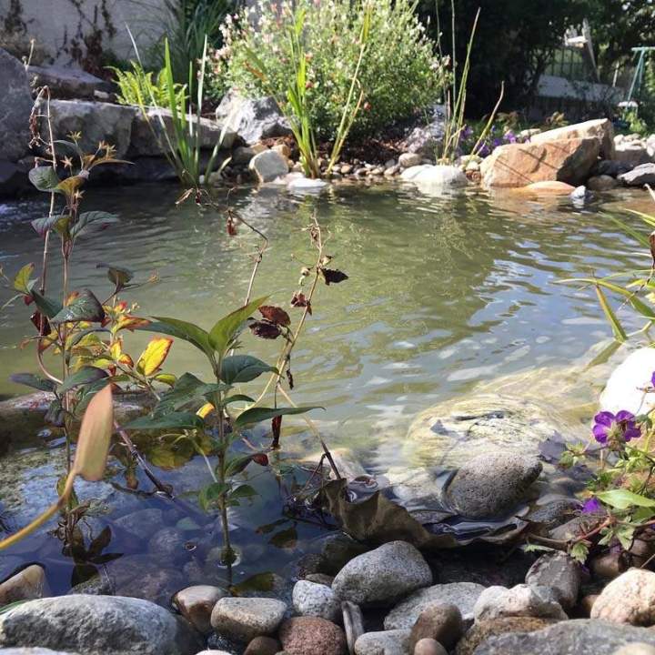 Création de bassin Lempdes