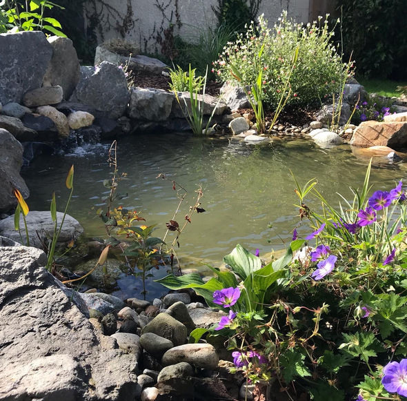 Aménagement extérieur