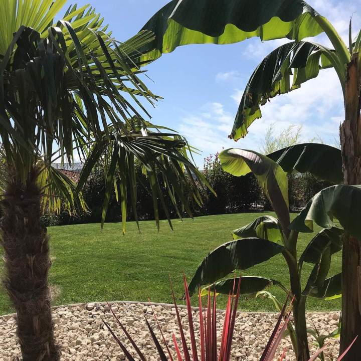 Végétalisation de jardin Lempdes